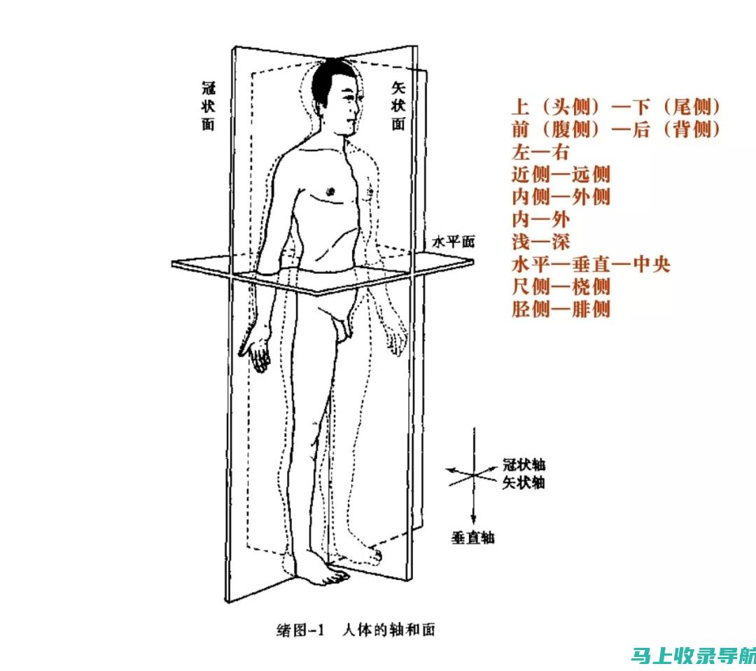 全方位剖析：探究58同镇加盟站长项目的信誉和可行性